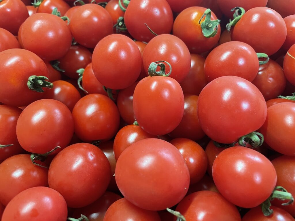 大量 ミニトマト