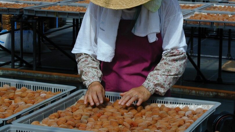 天日干し　梅の表情_マルヤマ食品