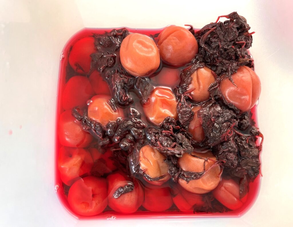 赤紫蘇　梅酢　タッパーウェア