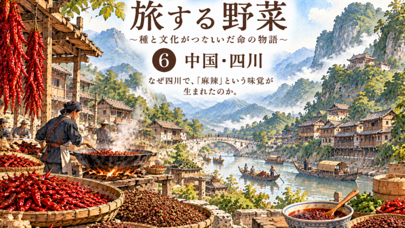 旅する野菜_唐辛子_四川