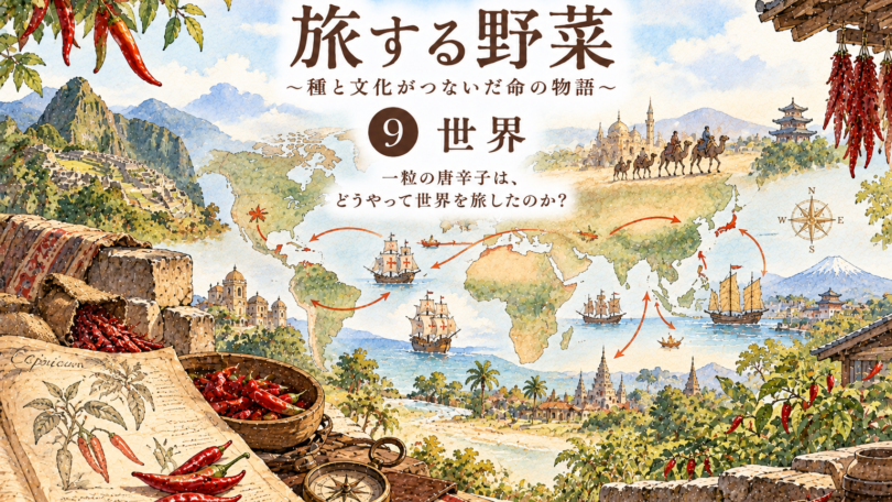 旅する野菜_唐辛子_世界